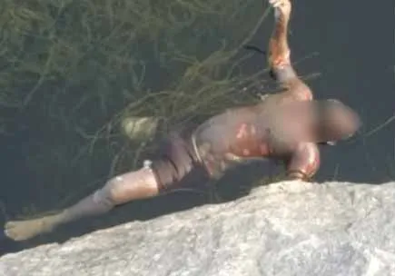 Unidentified male body